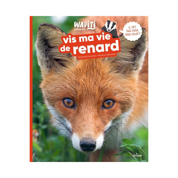 Vis ma vie de renard