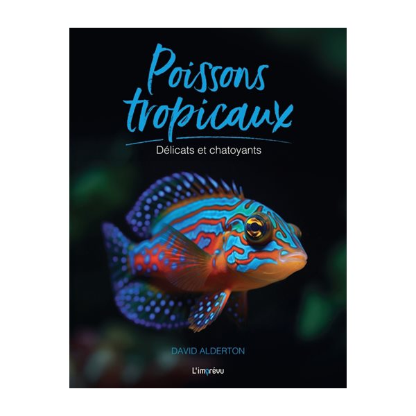 Poissons tropicaux : délicats et chatoyants