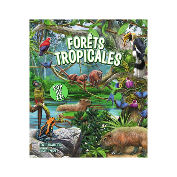 Forêts tropicales, XXL pop-up