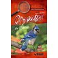 Oiseaux du Québec : Guide d'identification