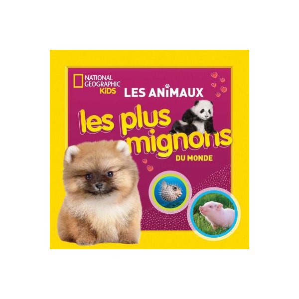 Les animaux les plus mignons du monde