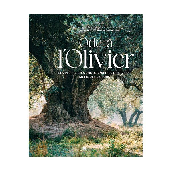 Ode à l'olivier : les plus belles photographies d'oliviers au fil des saisons