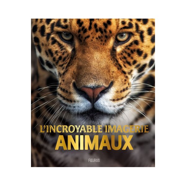 Animaux, L'incroyable imagerie
