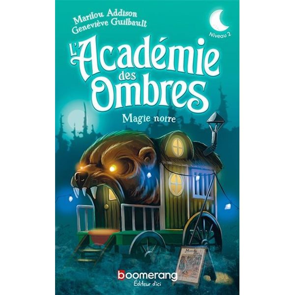 Magie noire, L'Académie des Ombres