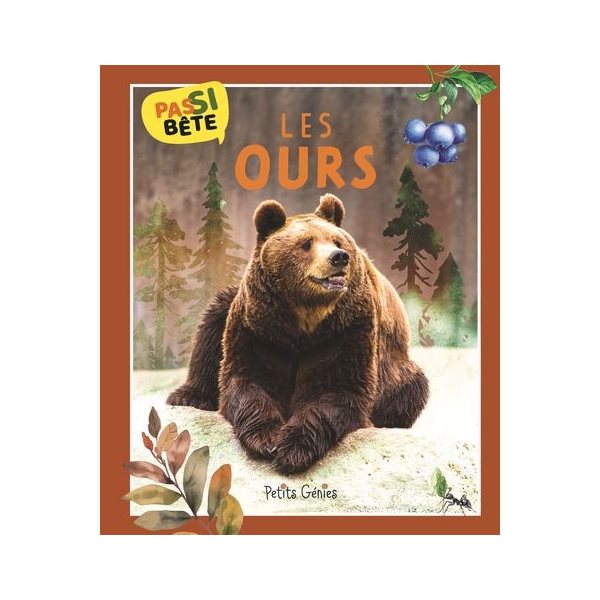 Les ours, Pas si bête