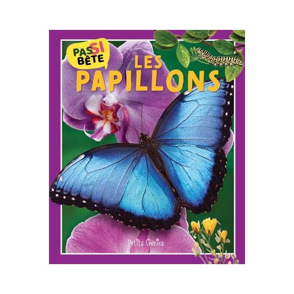 Les papillons, Pas si bête