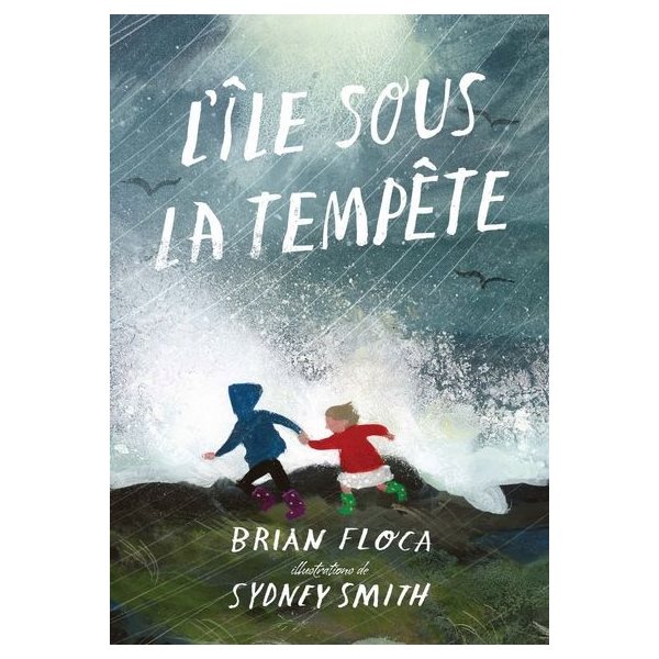 L'île sous la tempête