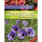 Les annuelles du jardinier paresseux, Le jardinier paresseux