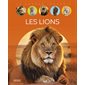 Les lions, La grande imagerie