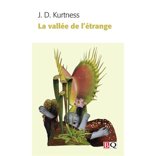 La vallée de l'étrange