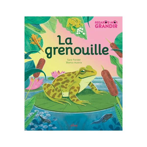 La grenouille
