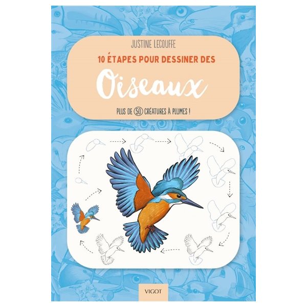 10 étapes pour dessiner des oiseaux : plus de 50 créatures à plumes !