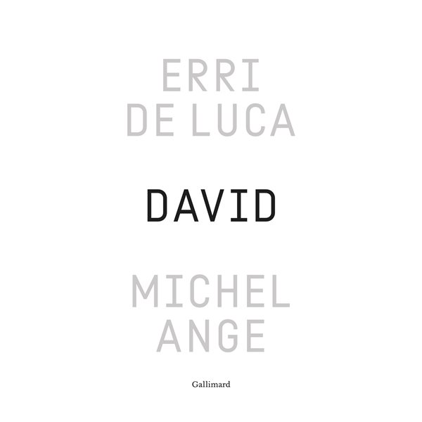 David, Michel-Ange : enquête sur une disproportion