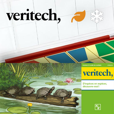 Veritech